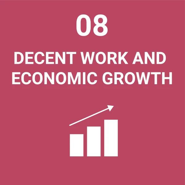 SDG 08