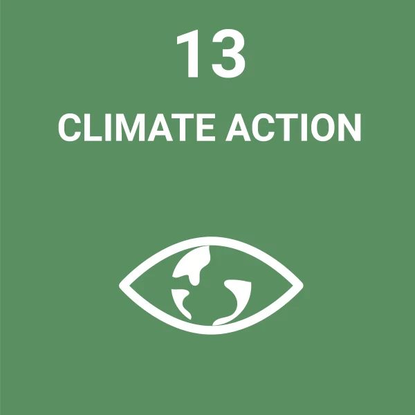 SDG 13